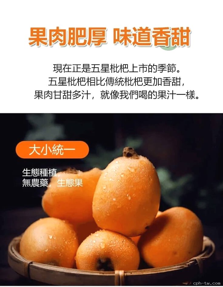 竹鹽枇杷乾&copy;萃品匯